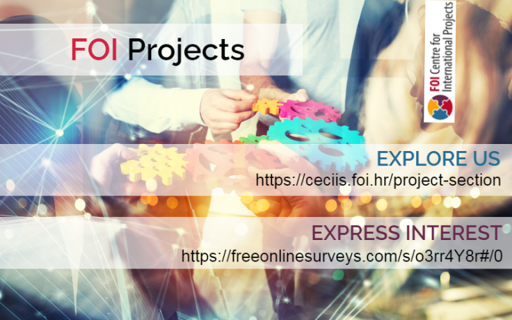 CMP CECIIS projektna sekcija