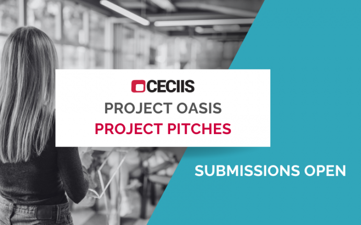 CECIIS Projektni pitchevi