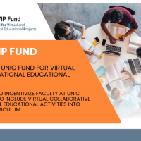 UNIC VIP Fund